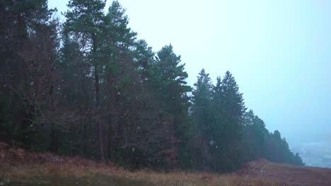 first heavy snowfall on top of an abandoned ski slope - wide shot