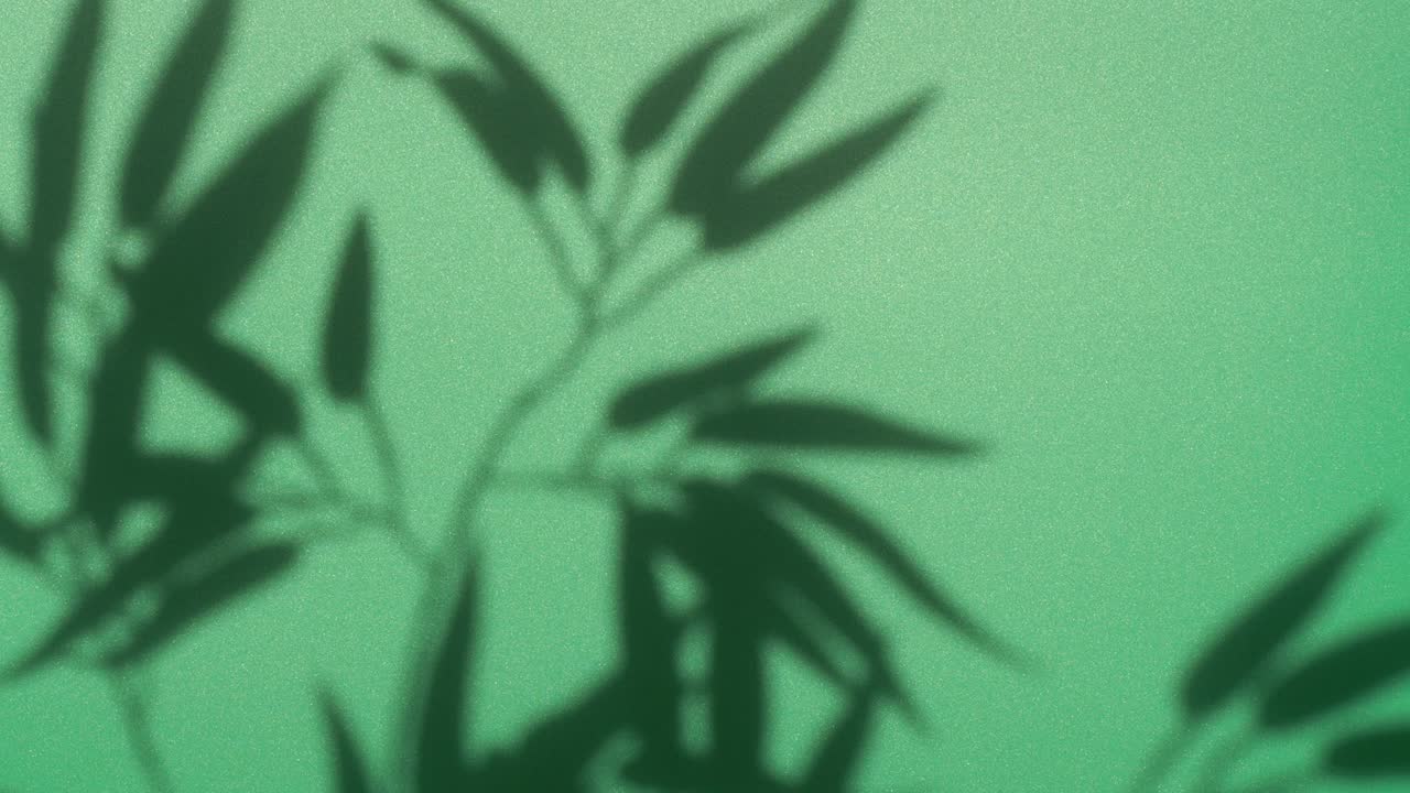 Abstract nature background of leaves shadow silhouette on wall moving by wind