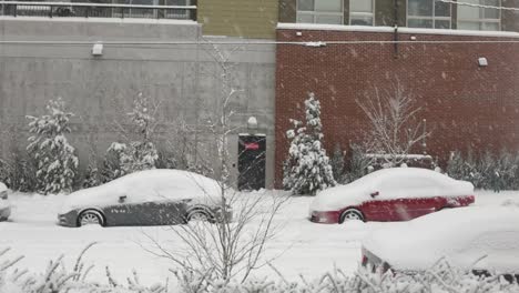 wide shot of parking cars thickly covered with fresh snow during heavy snowfall day in tacoma,usa