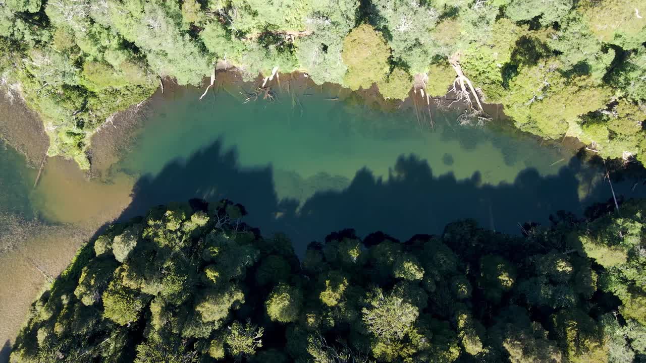 Top view of a lake surrounded by trees while a bird hunts in the center - aerial