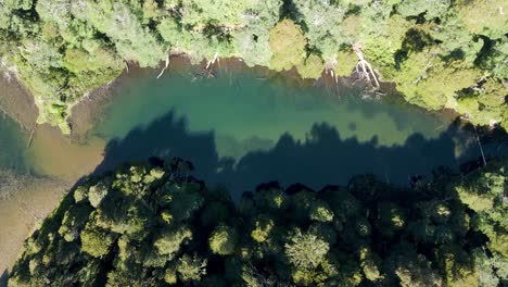 Top-view-of-a-lake-surrounded-by-trees-while-a-bird-hunts-in-the-center---aerial