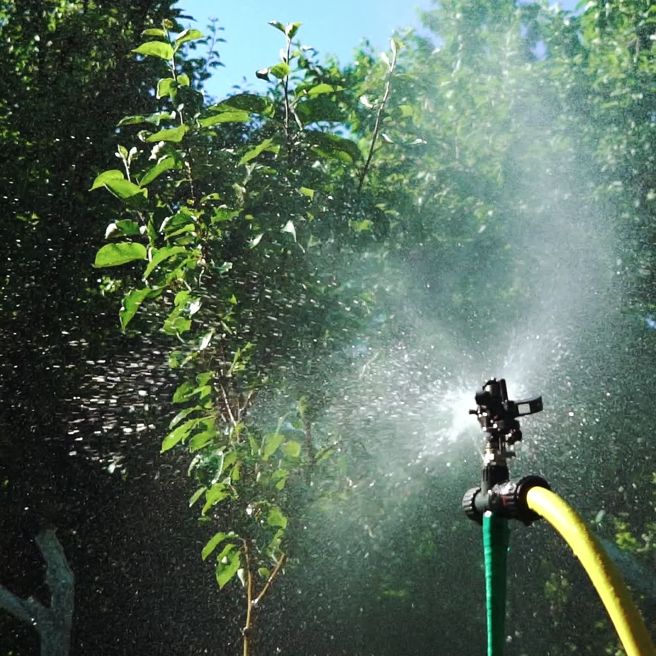 Irrigation equipment. Automatic watering system for plants. Slow motion.