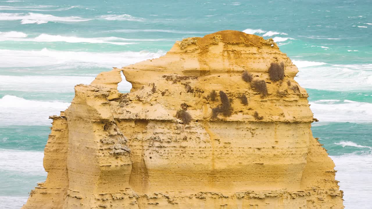 Seagulls perched on a limestone stack with ocean waves in the background, captured at Port Campbell, Australia. Bright daylight enhances the scene