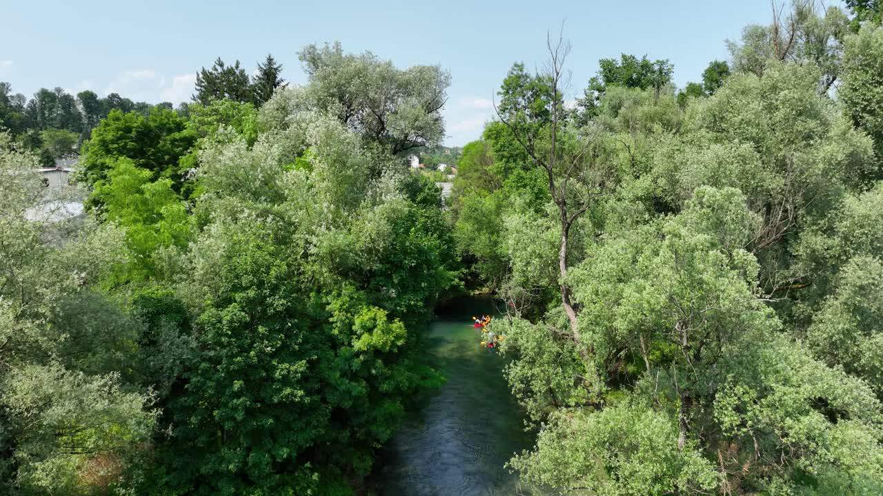 kayakando en un río a través de un bosque exuberante