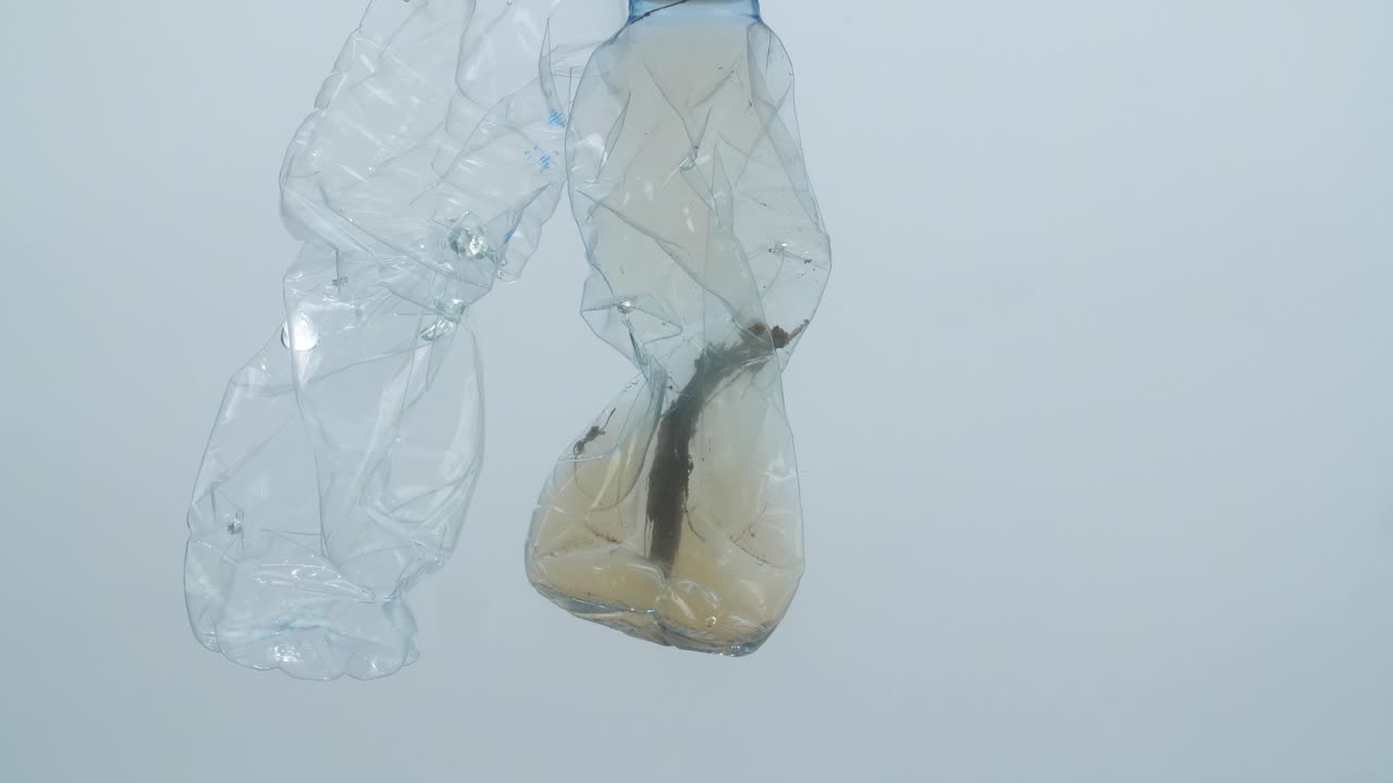 플라스틱 병과 식물 성장