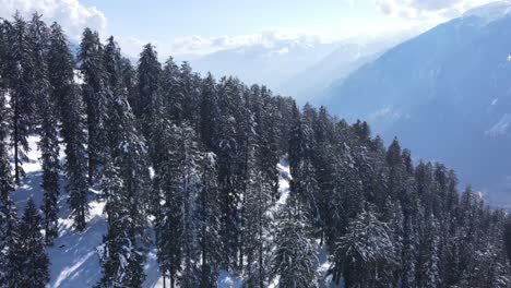 A-forest-covered-in-snow-in-Himalayas