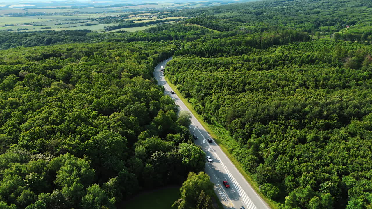 Green forest by winding road. Aerial view of dense green forest beside a curving road on a sunny day, showcasing a peaceful natural landscape