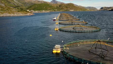 imágenes aéreas de granjas de pesca de salmón en noruega