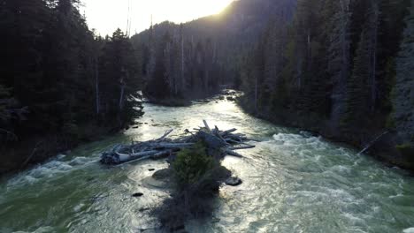 low dolly drone shot tracking a river in the forest towards the sun