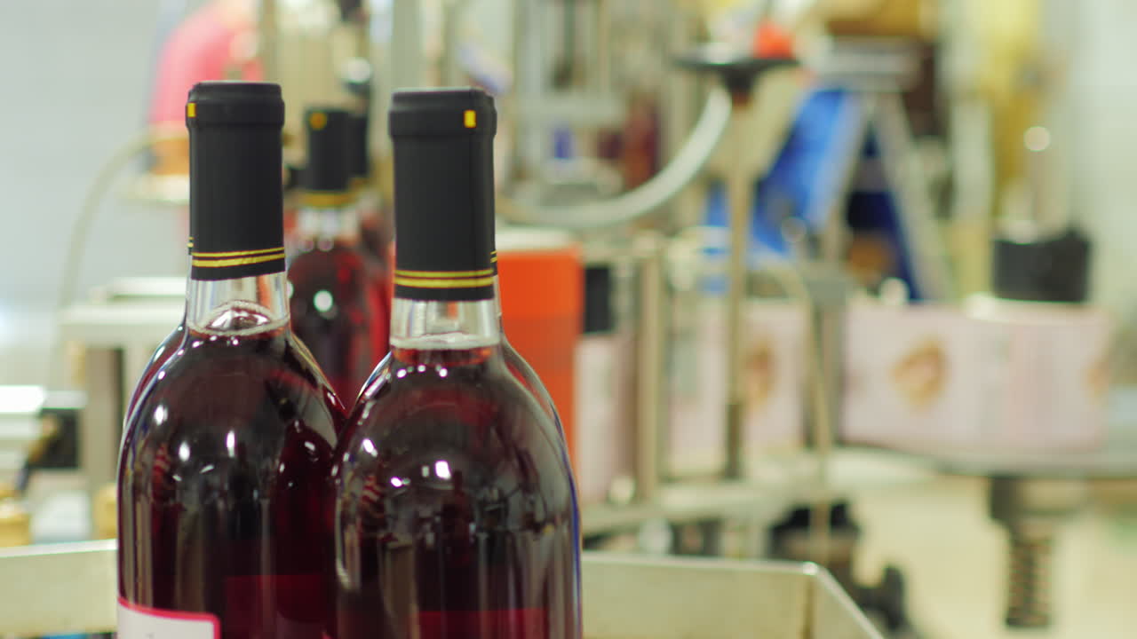 botellas de vino tinto se mueven en una cinta transportadora 10