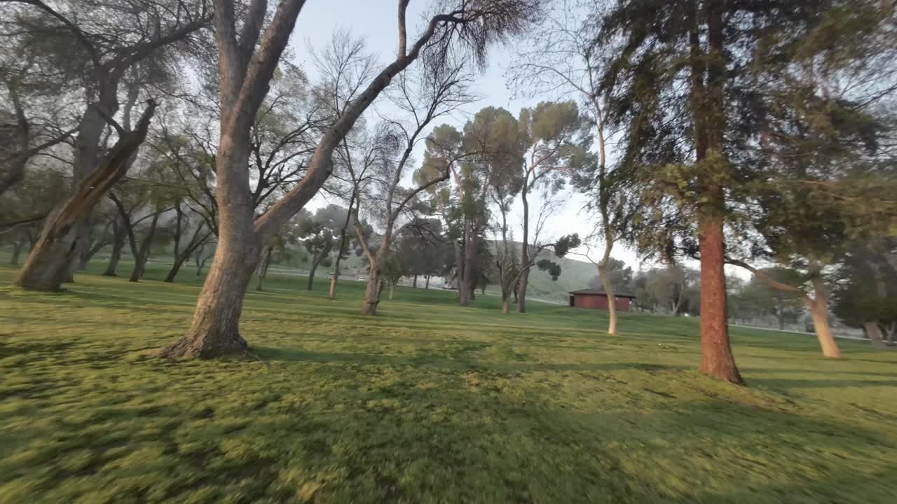 vuelo entre árboles en un parque en un dron de vista en primera persona