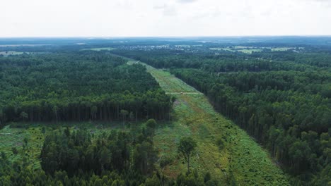 woodland landscape and area prepared for railway construction, aerial view