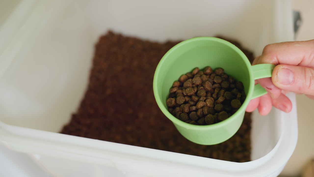 Trockenfutter aus dem Vorratsbehälter abmessen, Person schöpft Futter mit grünem Becher, Nahaufnahme der Hand, Plastikbehälter gefüllt mit braunen Pellets, Küchentheke, Tierhalter bereitet präzise Portion vor