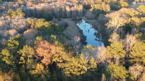 creek in the country side