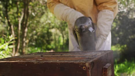 apicultor caucásico en ropa de protección que usa un fumador para calmar a las abejas en una colmena
