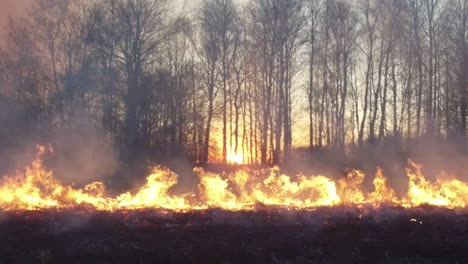 forest fire at sunset