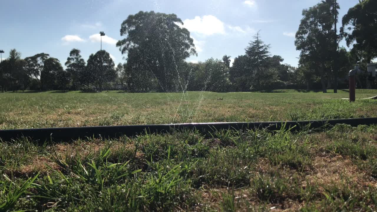 manguera negra con múltiples fugas rociando agua sobre la hierba verde