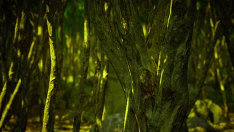 mysterious forest with twisted trees under green light at dusk