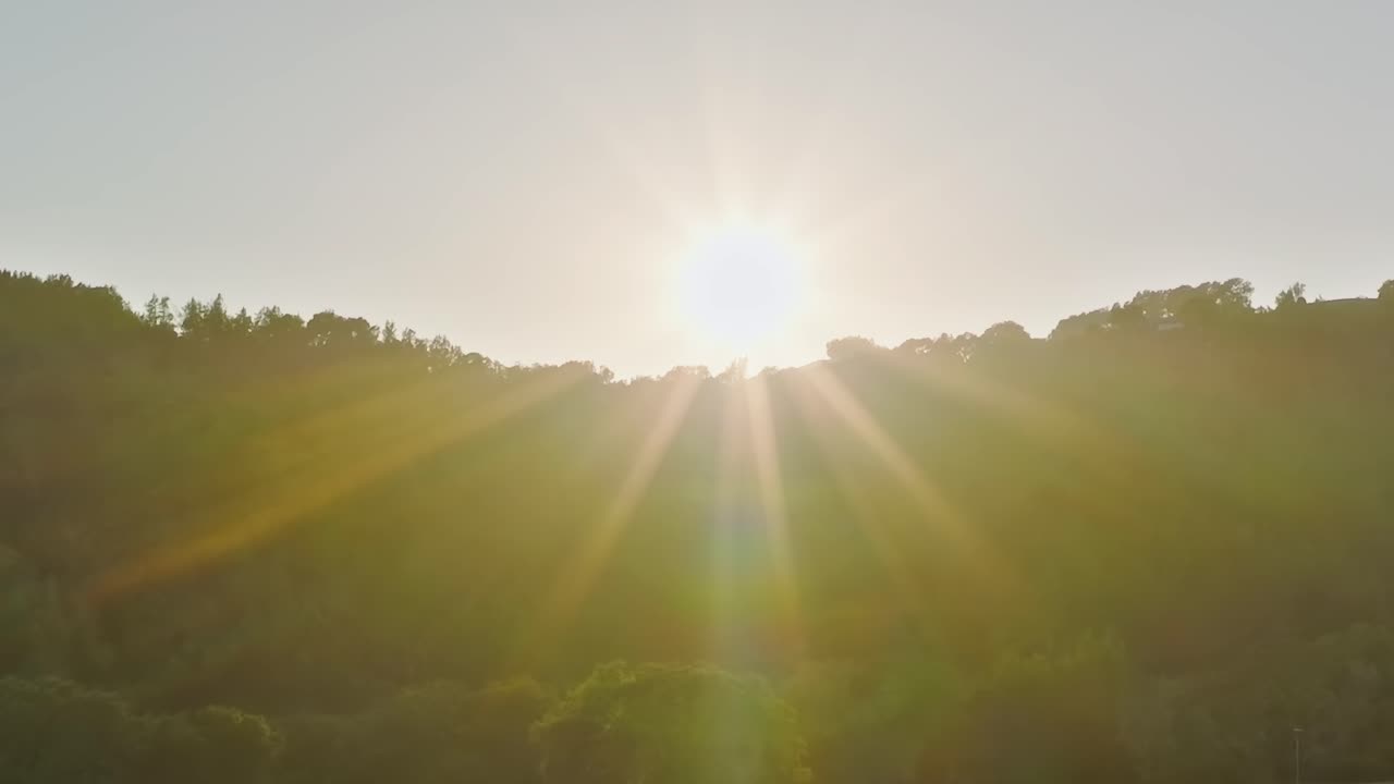 Nascer do sol sobre vinhedos no Vale do Napa, Califórnia, EUA