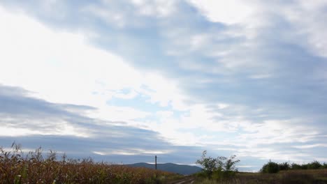 pan up view of single track road and cloudy sky