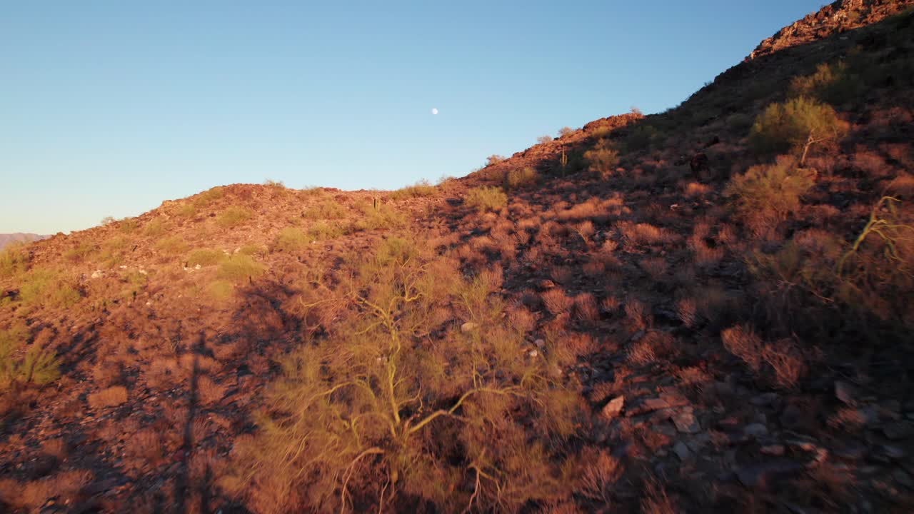Sonoran Desert Sunset