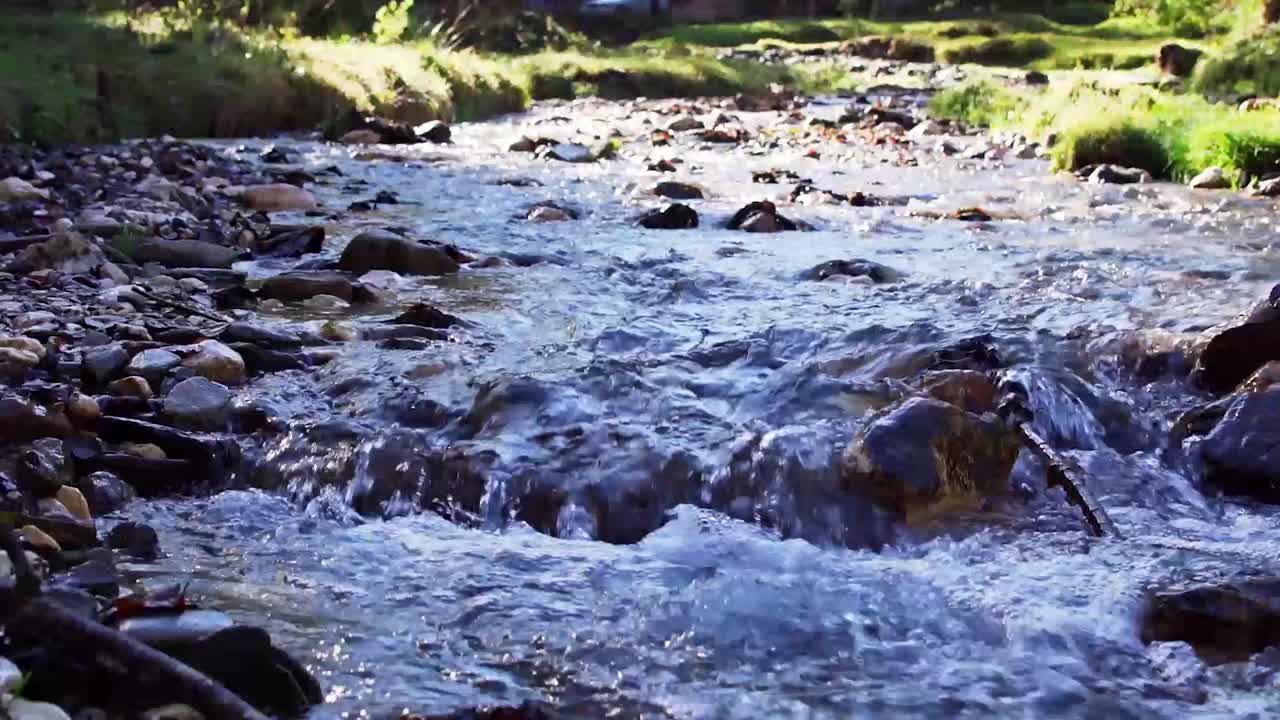 Rocky Flowing Stream In Forest Park Of Piatra Craiului Mountain, Brasov County, Romania, Static