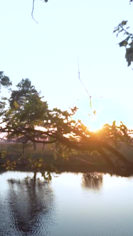 sunset over a tranquil lake with trees