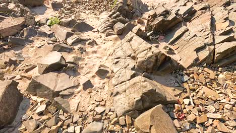 a rocky shoreline with scattered stones and sand under bright sunlight. the camera pans smoothly over the textured landscape