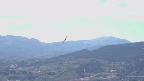 Vulture-circling-high-above-a-city-in-Alcoi-mountains,Valencia,Spain