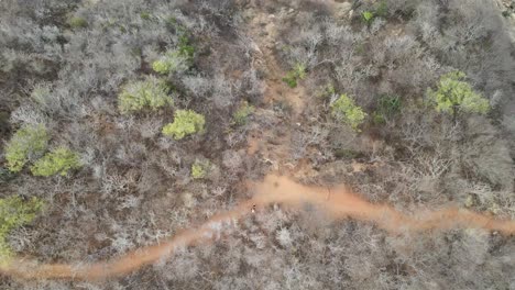 Ziehen-Sie-Vorne-über-Ein-Paar-Mit-Blick-Auf-Die-Klippen-In-Punta-Cometa,-Oaxaca,-Mexiko