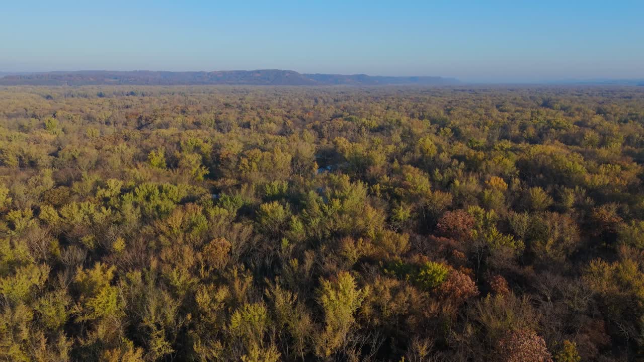 La foresta ripariale illuminata dal sole costeggia i tranquilli canali del fiume Mississippi