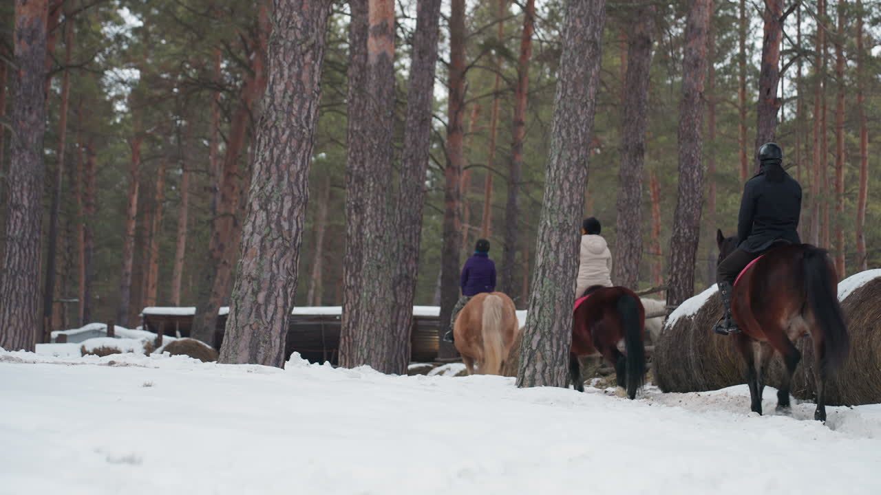 Jinetes atravesando un bosque invernal, un hombre y dos amigos a caballo en medio de un paisaje de pinos cubierto de escarcha, grupo de tres jinetes a caballo avanzando por la nieve profunda en un bosque de pinos