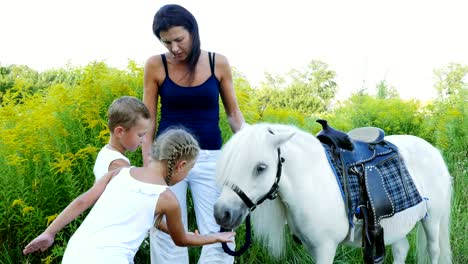 niños, un niño y una niña de siete años, alimentaron a un caballo blanco, dieron a comer zanahorias. alegres, felices vacaciones familiares. al aire libre, en verano, cerca del bosque