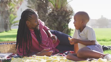 video of happy african american father and son having picnic on grass