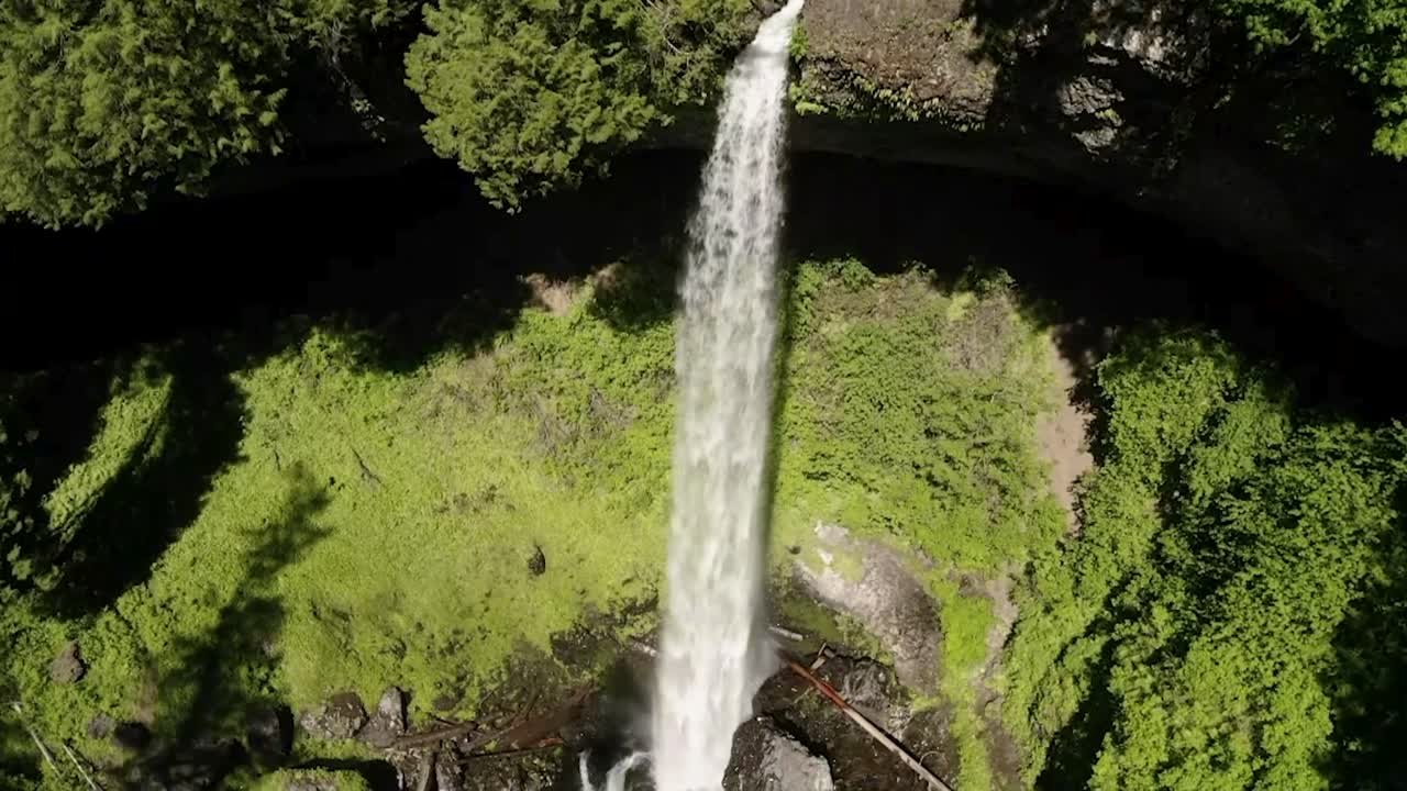impresionantes cataratas que fluyen en rocky creek en verano en el parque estatal silver falls, oregón