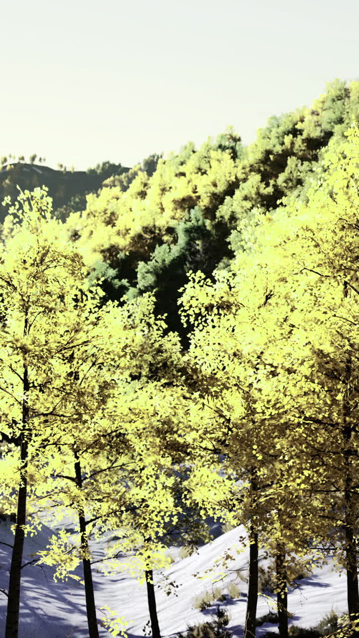 Golden autumn leaves dance in the sunlight within a serene forest landscape