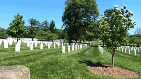 white headstones in the graveyard of arlington national