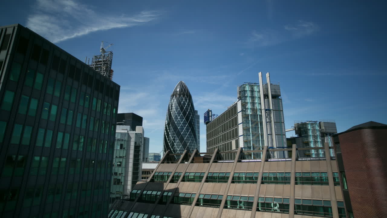 작은 오이 보기 03