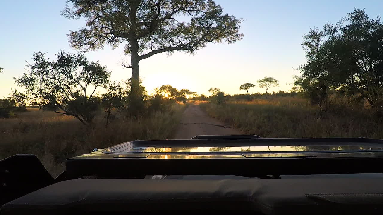 Avventura al Parco Kruger in Sudafrica