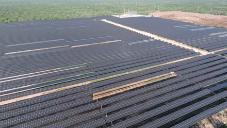 birdseye view of solar panels. aerial forward