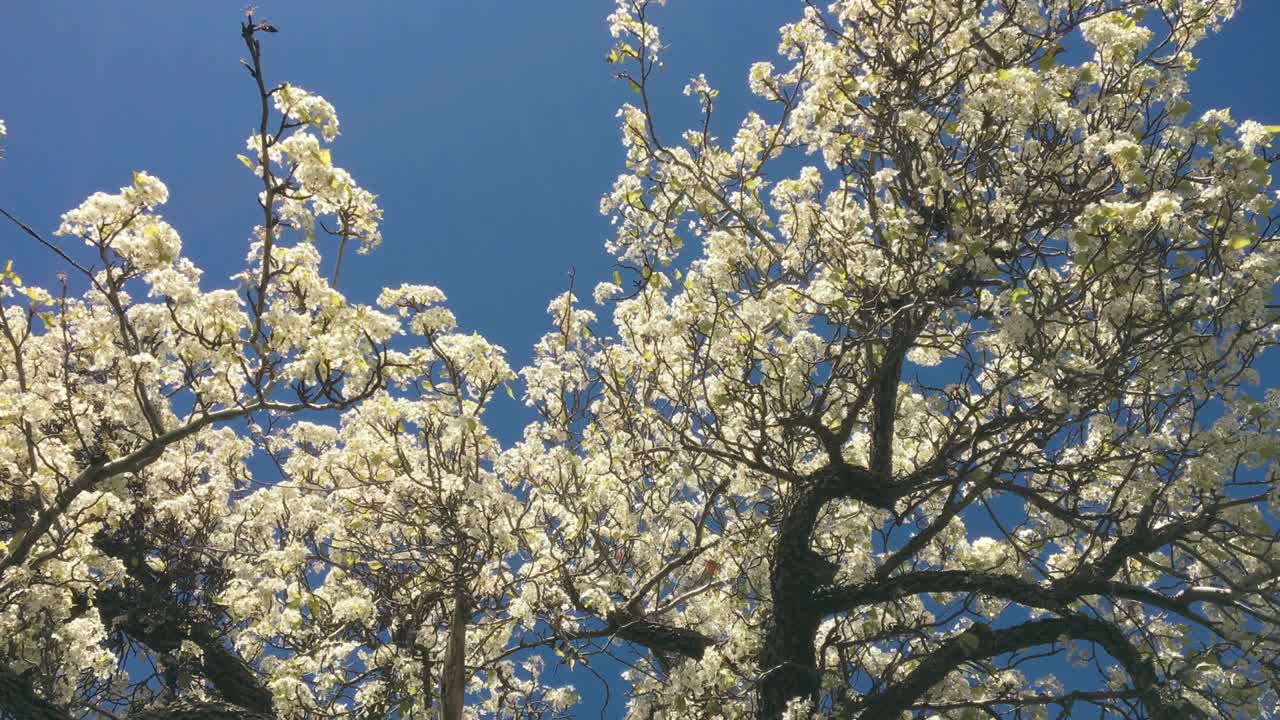 숲 풍경 - 자연 나무와 빛