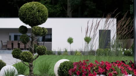 front yard, landscape design with multicolored shrubs intersecting with bright green lawns behind the house is a modern, garden care service, green grass with a beautiful yard for the background.