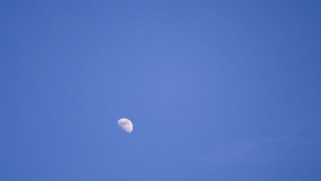 disparo de lapso de tiempo de la luna durante el día con nubes blancas suaves que pasan