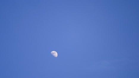 time lapse shot of moon in daytime with white soft clouds passing