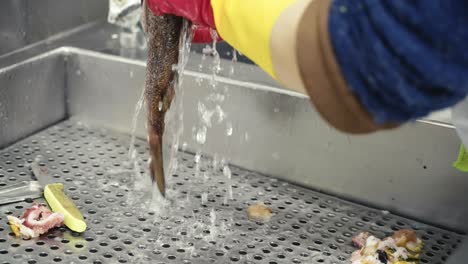 close-up of cleaning red porgy fresh fish