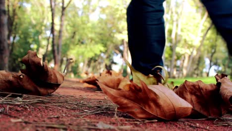 Caminar-Bosque-Otoño-Parque-Hombre-Solitario-Pies-1