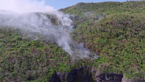 fotografía aérea de la selva tropical en llamas en el parque nacional con humo en ascenso