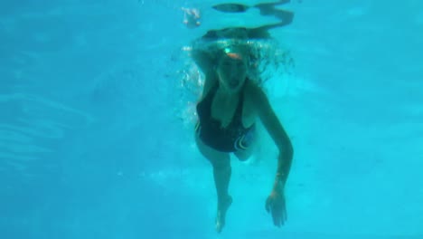 fit woman swimming in the outdoor pool