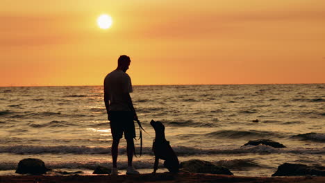 silhouette of a man and his dog on a beach at sunset
