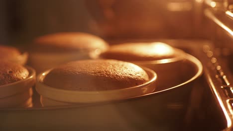 close up of a baking pan with baked cupcakes in the oven